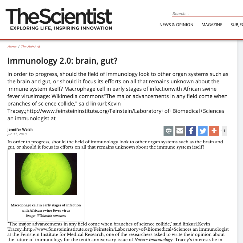 Immunology 2.0: brain, gut?