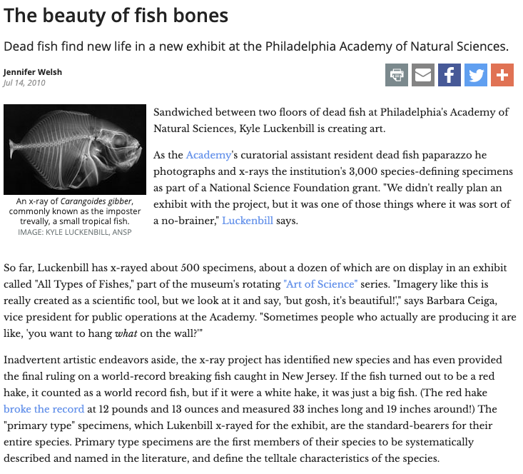 The beauty of fish bones