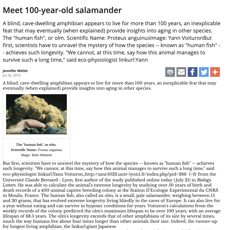 Meet 100-year-old salamander