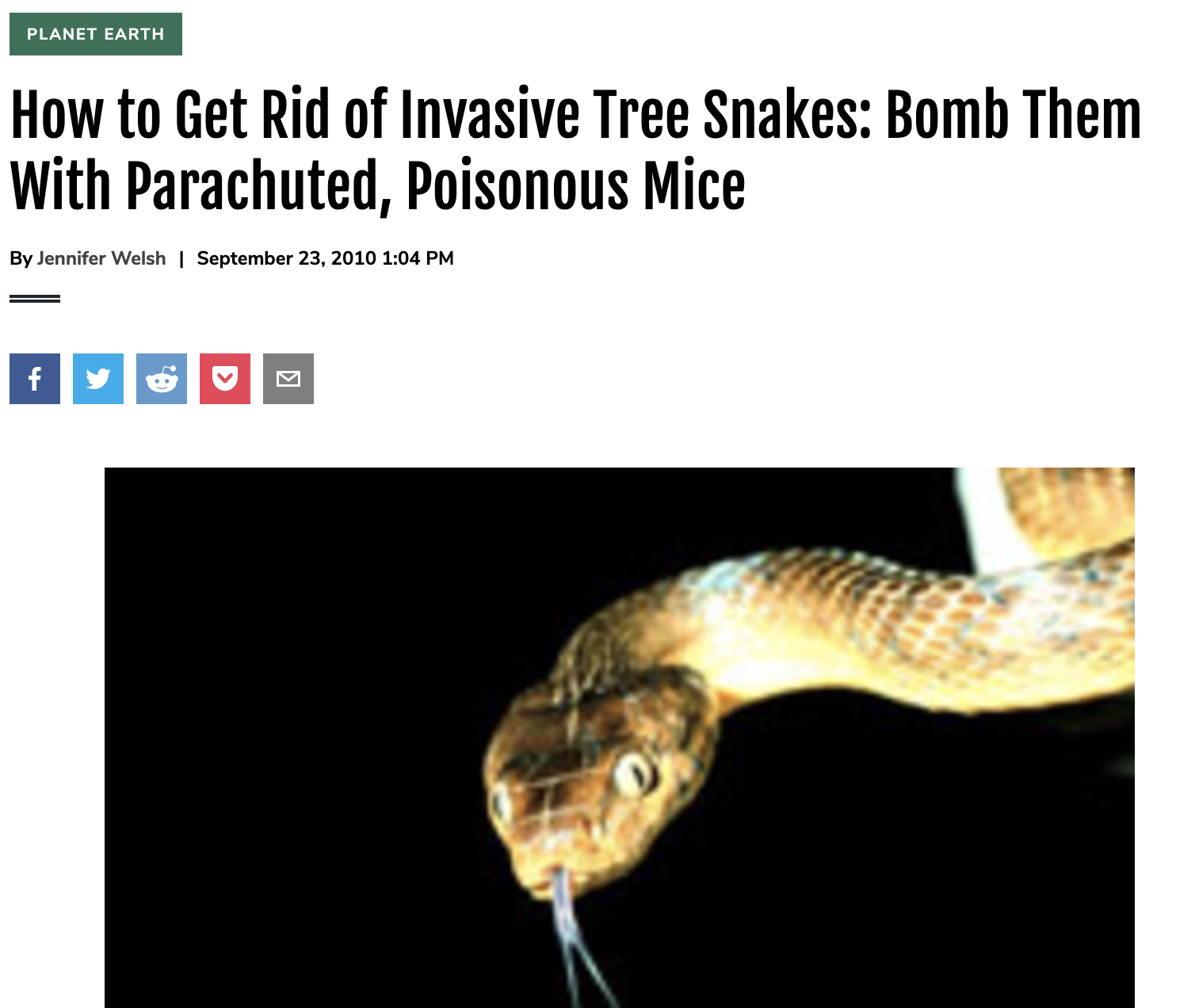 How to Get Rid of Invasive Tree Snakes: Bomb Them With Parachuted, Poisonous Mice