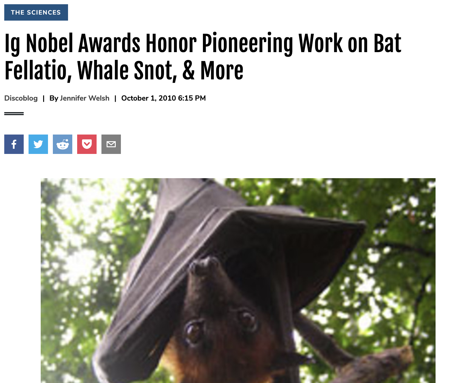 Ig Nobel Awards Honor Pioneering Work on Bat Fellatio, Whale Snot, & More