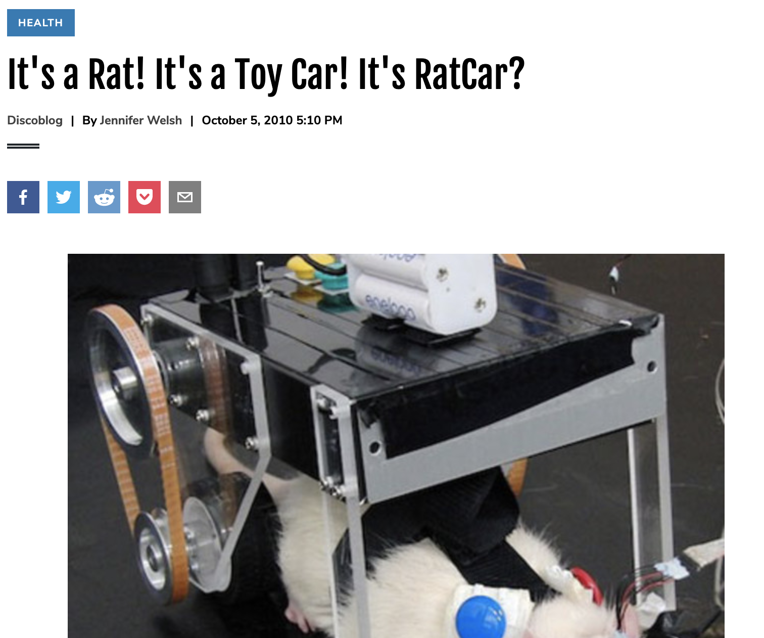 It’s a Rat! It’s a Toy Car! It’s RatCar?