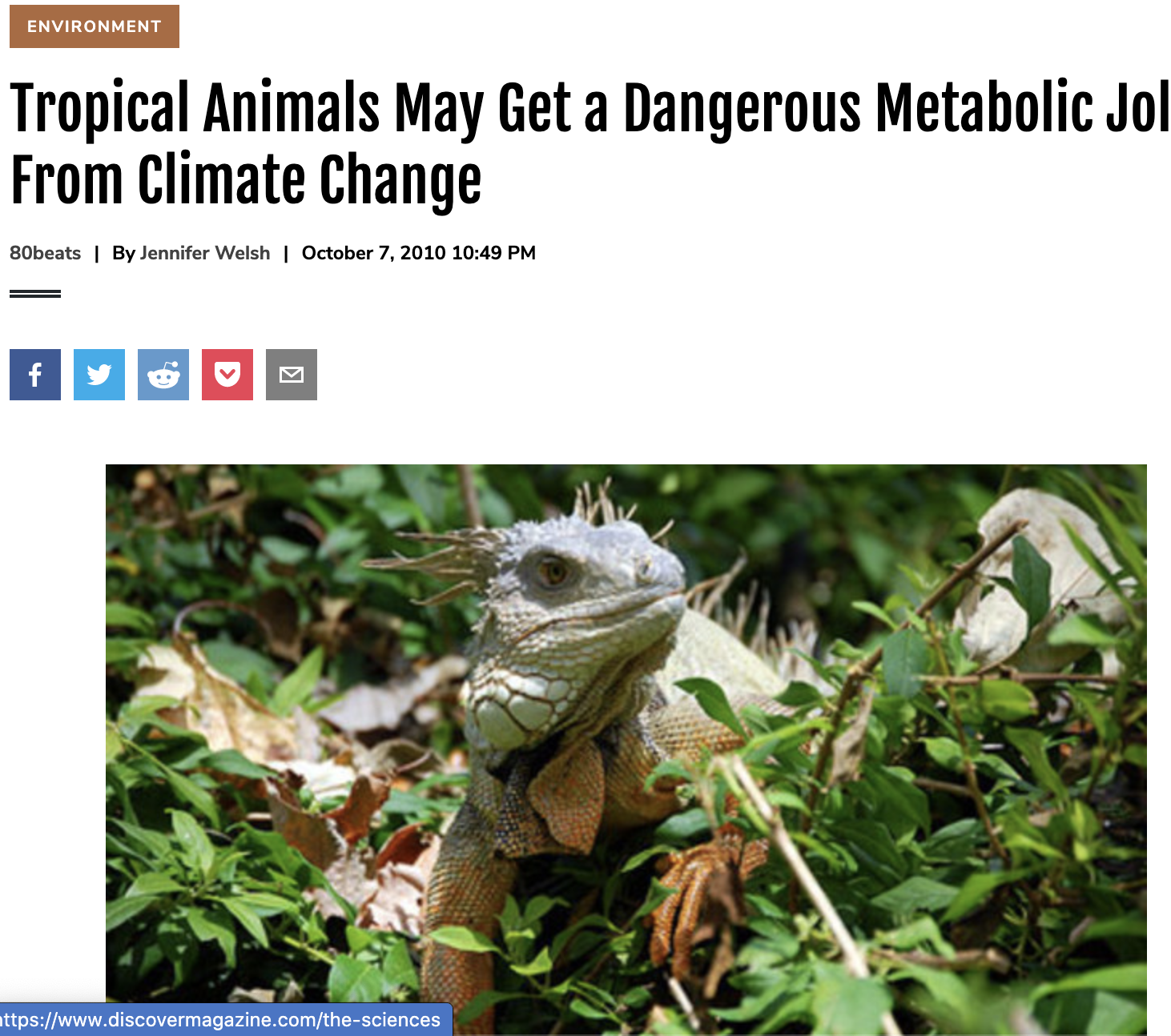 Tropical Animals May Get a Dangerous Metabolic Jolt From Climate Change