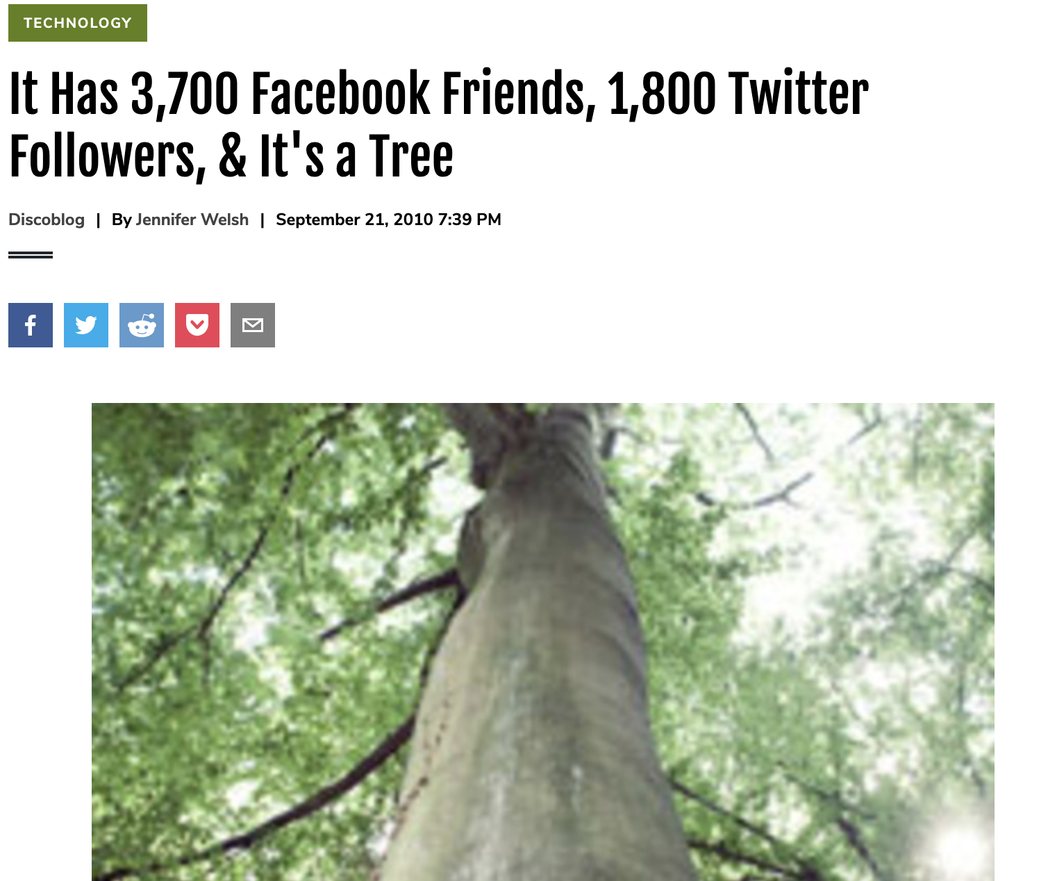 It Has 3,700 Facebook Friends, 1,800 Twitter Followers, & It’s a Tree