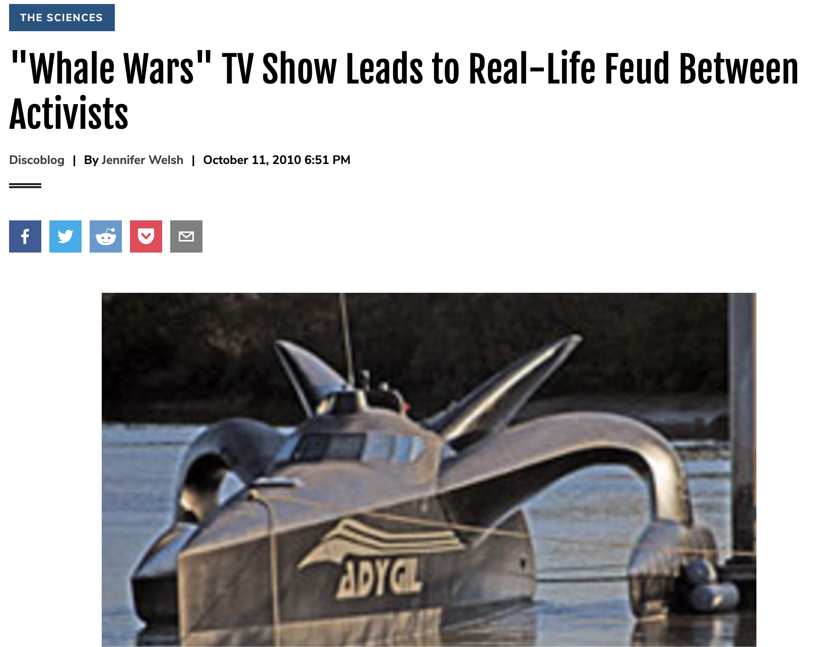 “Whale Wars” TV Show Leads to Real-Life Feud Between Activists