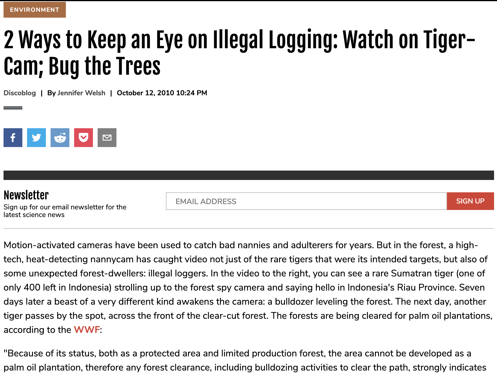 2 Ways to Keep an Eye on Illegal Logging: Watch on Tiger-Cam; Bug the Trees