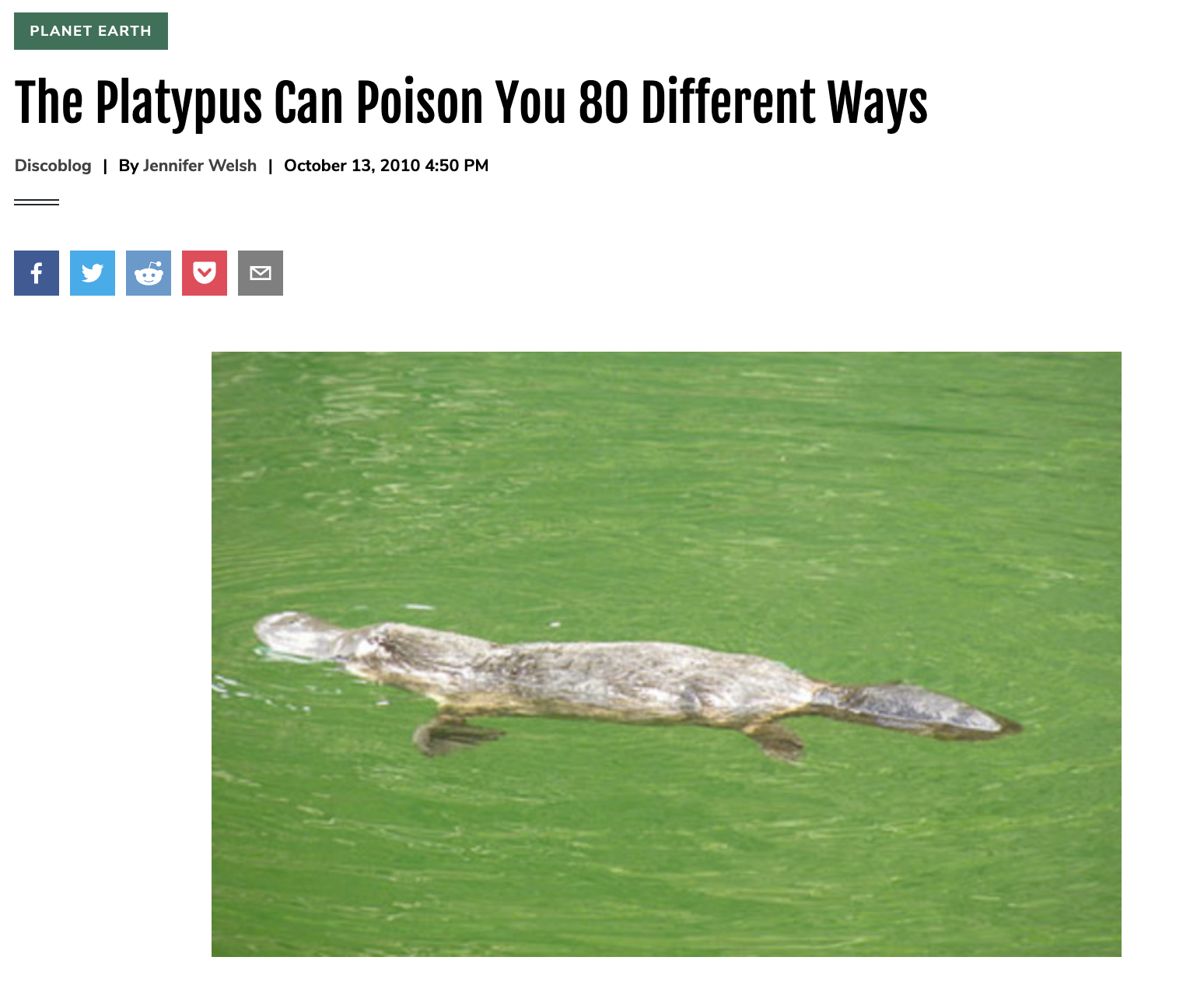 The Platypus Can Poison You 80 Different Ways