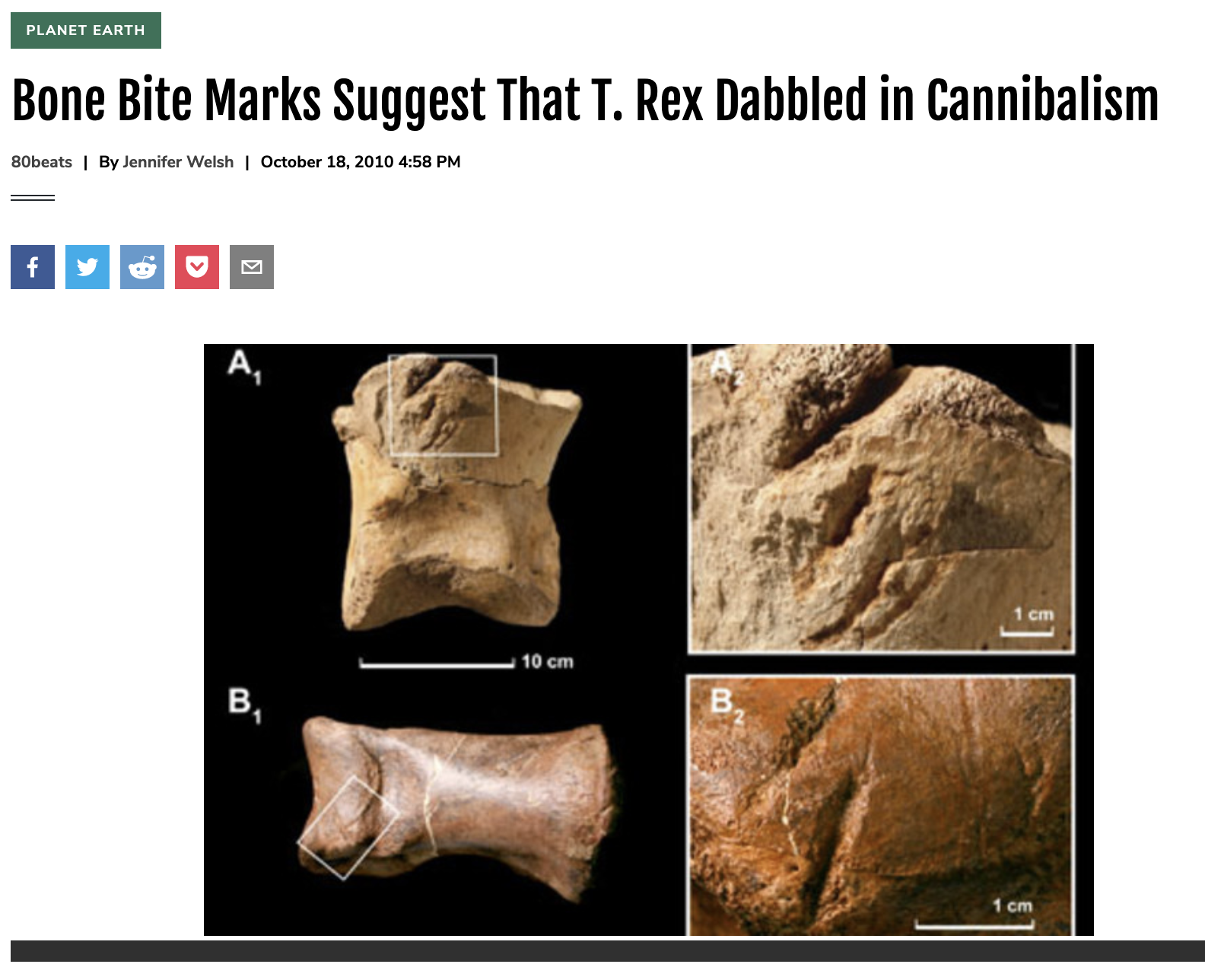 Bone Bite Marks Suggest That T. Rex Dabbled in Cannibalism