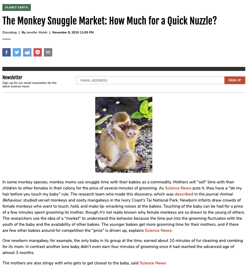 The Monkey Snuggle Market: How Much for a Quick Nuzzle?