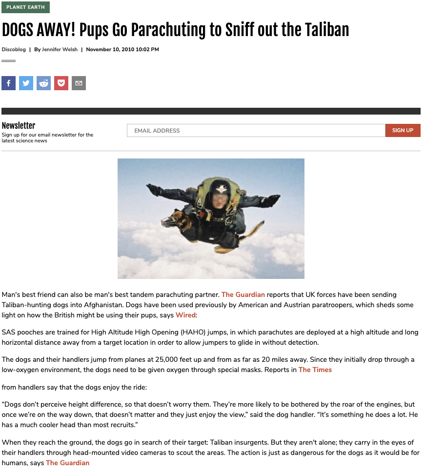 DOGS AWAY! Pups Go Parachuting to Sniff out the Taliban