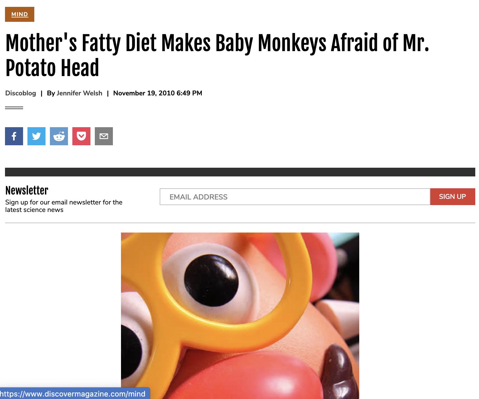 Mother’s Fatty Diet Makes Baby Monkeys Afraid of Mr. Potato Head