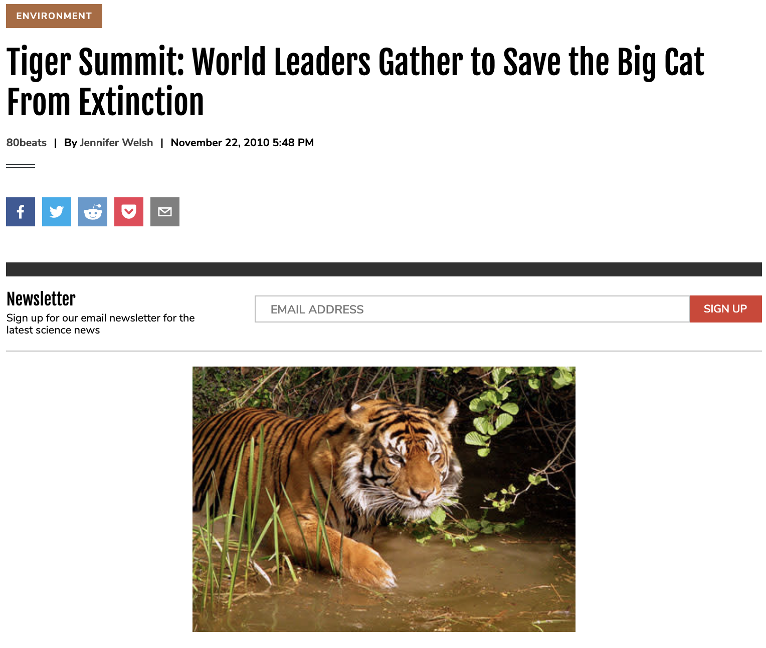 Tiger Summit: World Leaders Gather to Save the Big Cat From Extinction