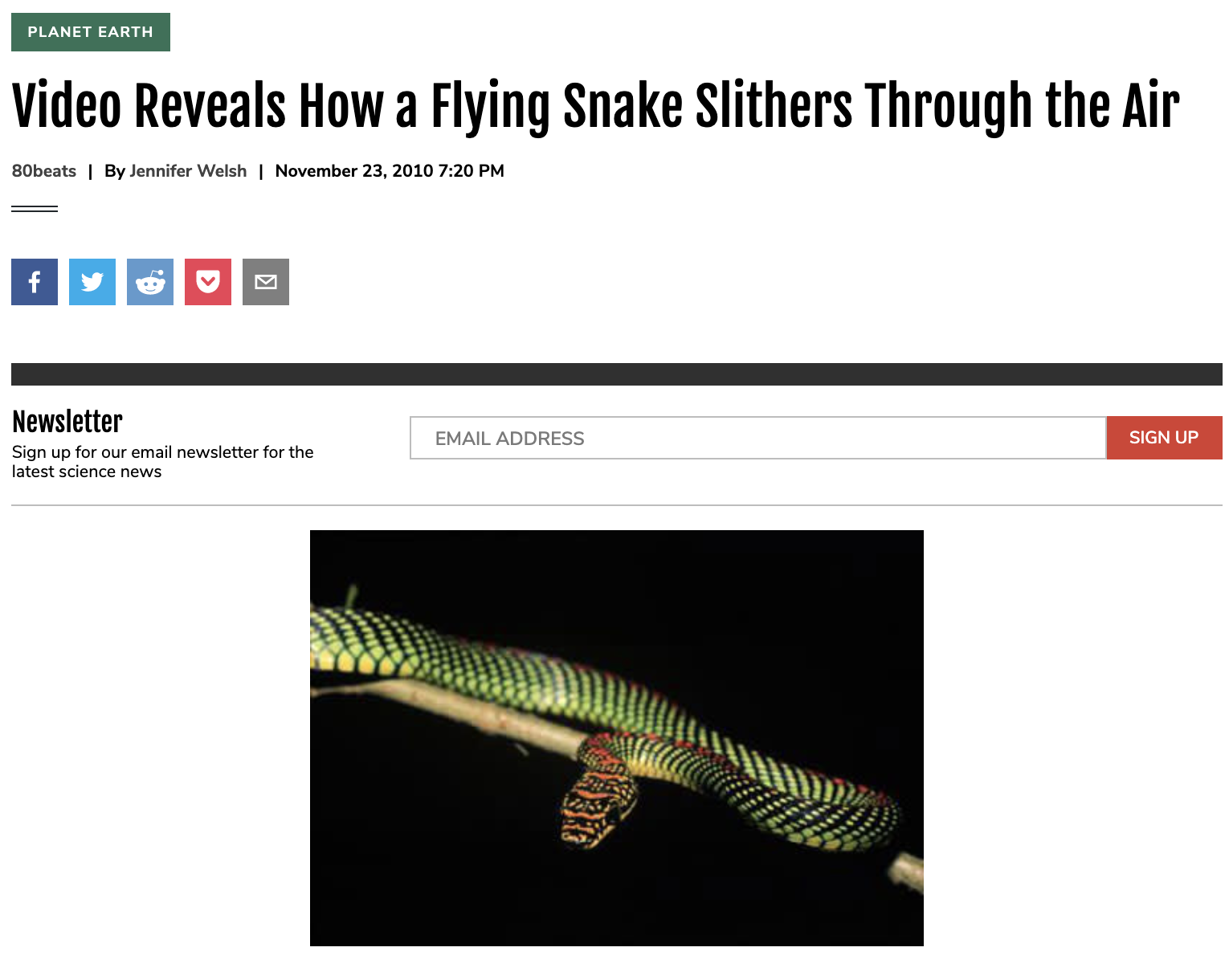 Video Reveals How a Flying Snake Slithers Through the Air