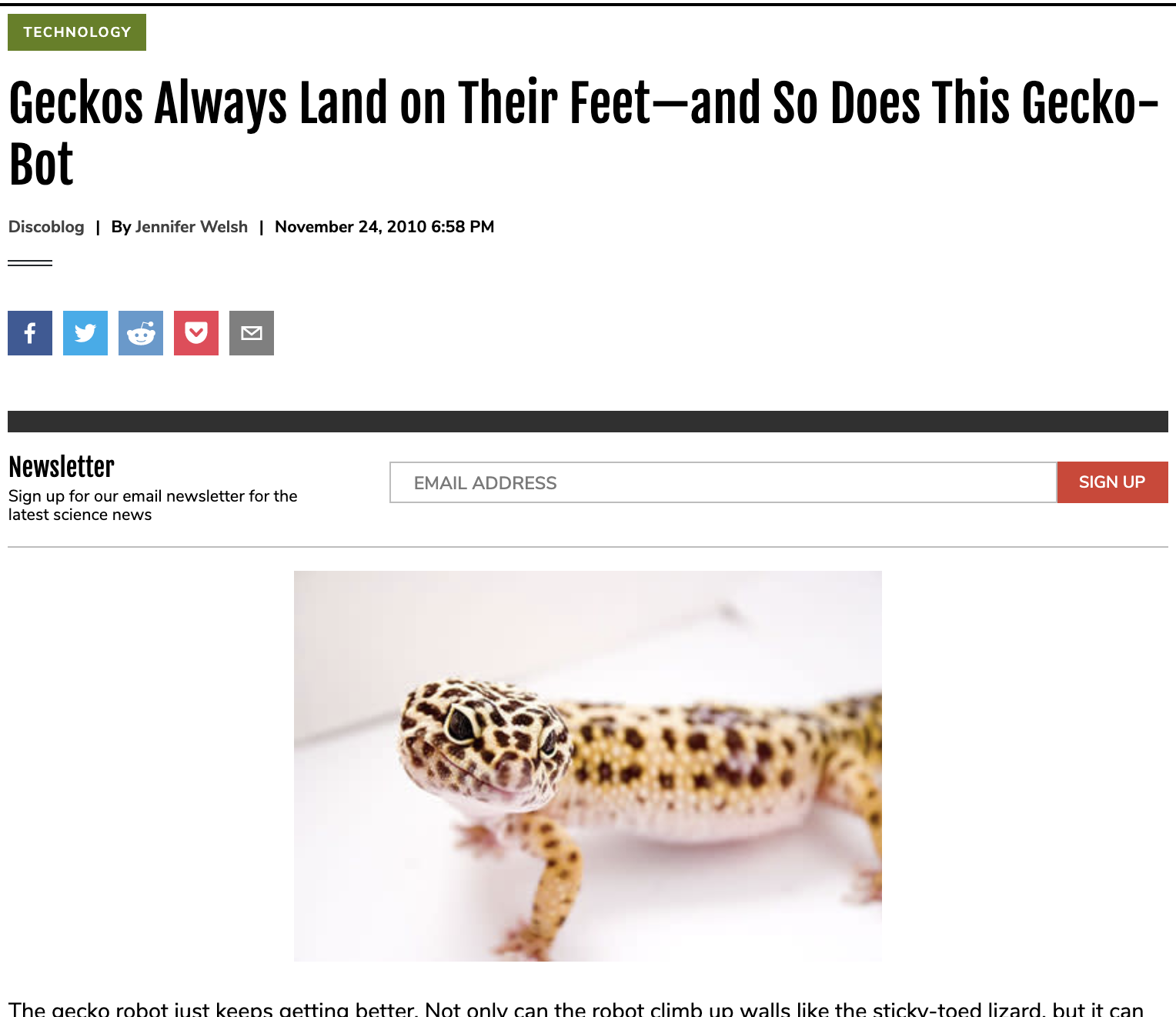 Geckos Always Land on Their Feet—and So Does This Gecko-Bot