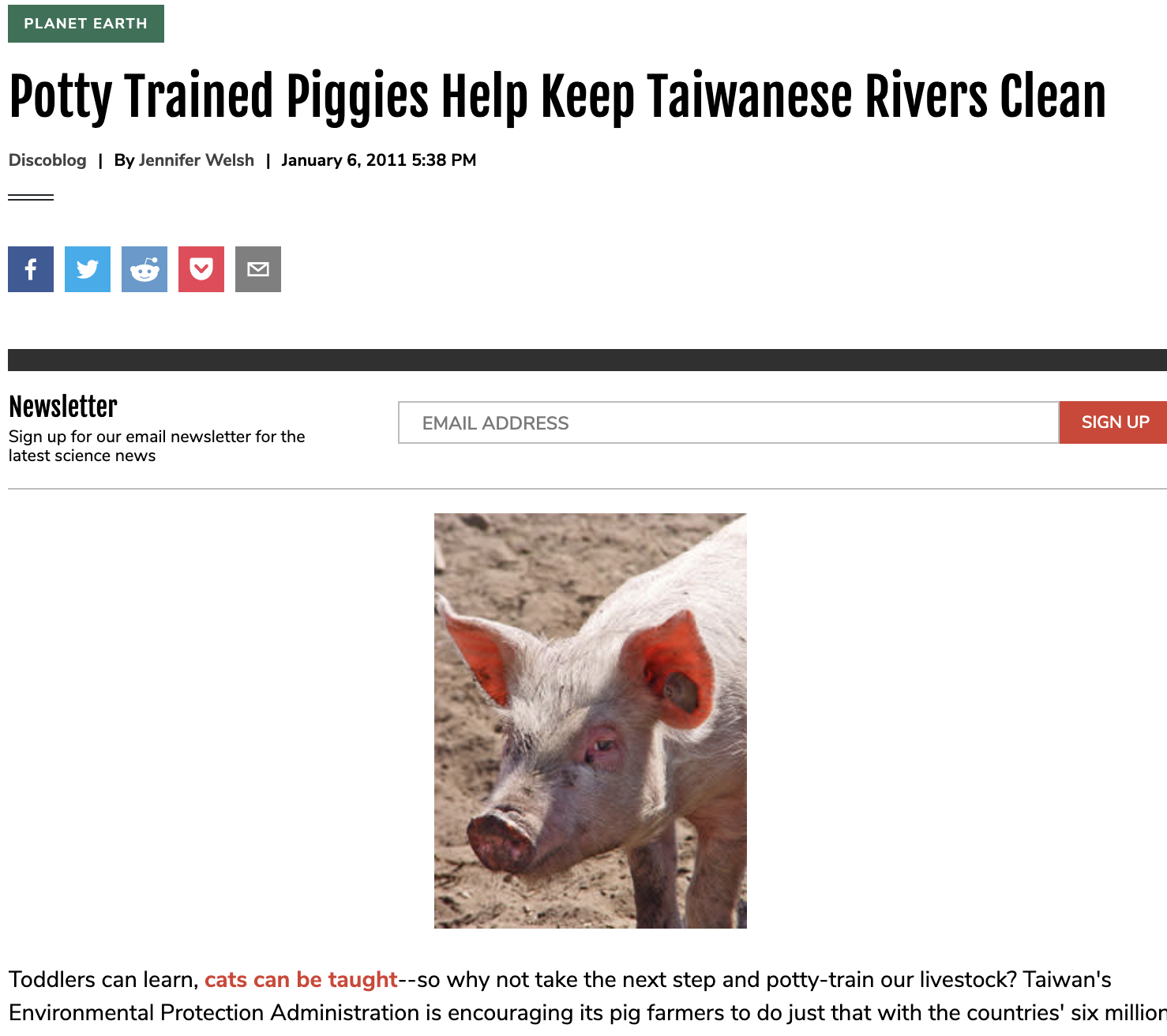 Potty Trained Piggies Help Keep Taiwanese Rivers Clean