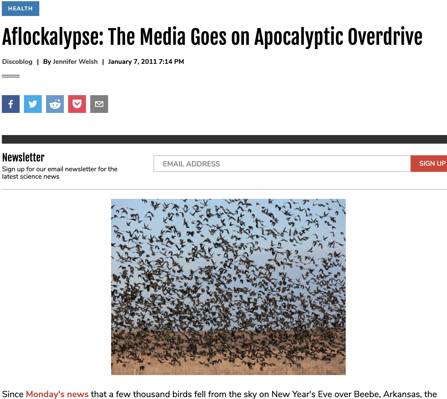 Aflockalypse: The Media Goes on Apocalyptic Overdrive