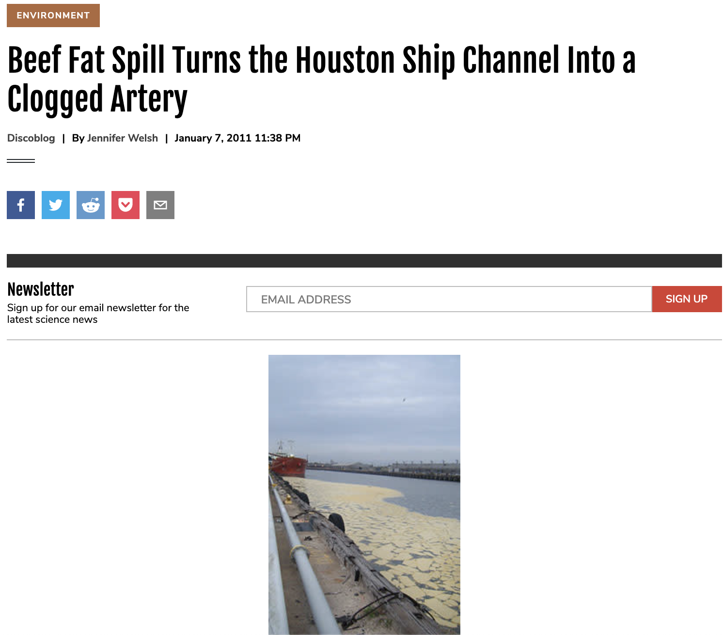 Beef Fat Spill Turns the Houston Ship Channel Into a Clogged Artery